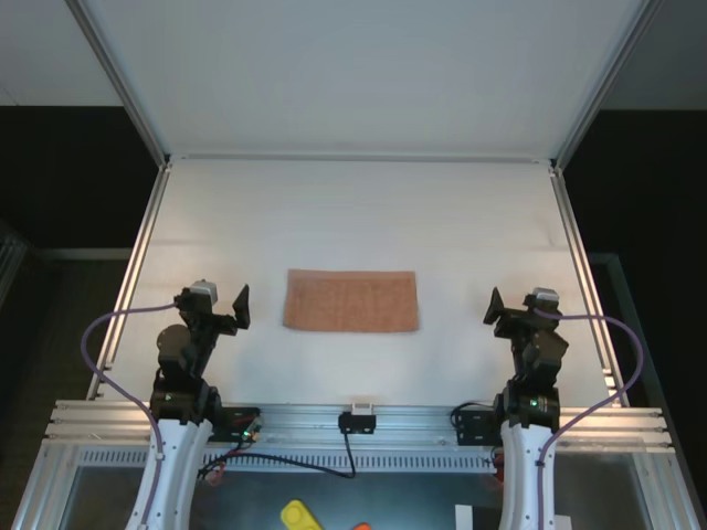 Real robot arms and an object in the initial RGB observation used by Hydra-0